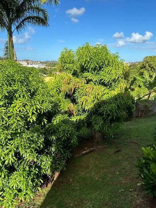 Holiday home Villa Noo La Le Robert Martinique